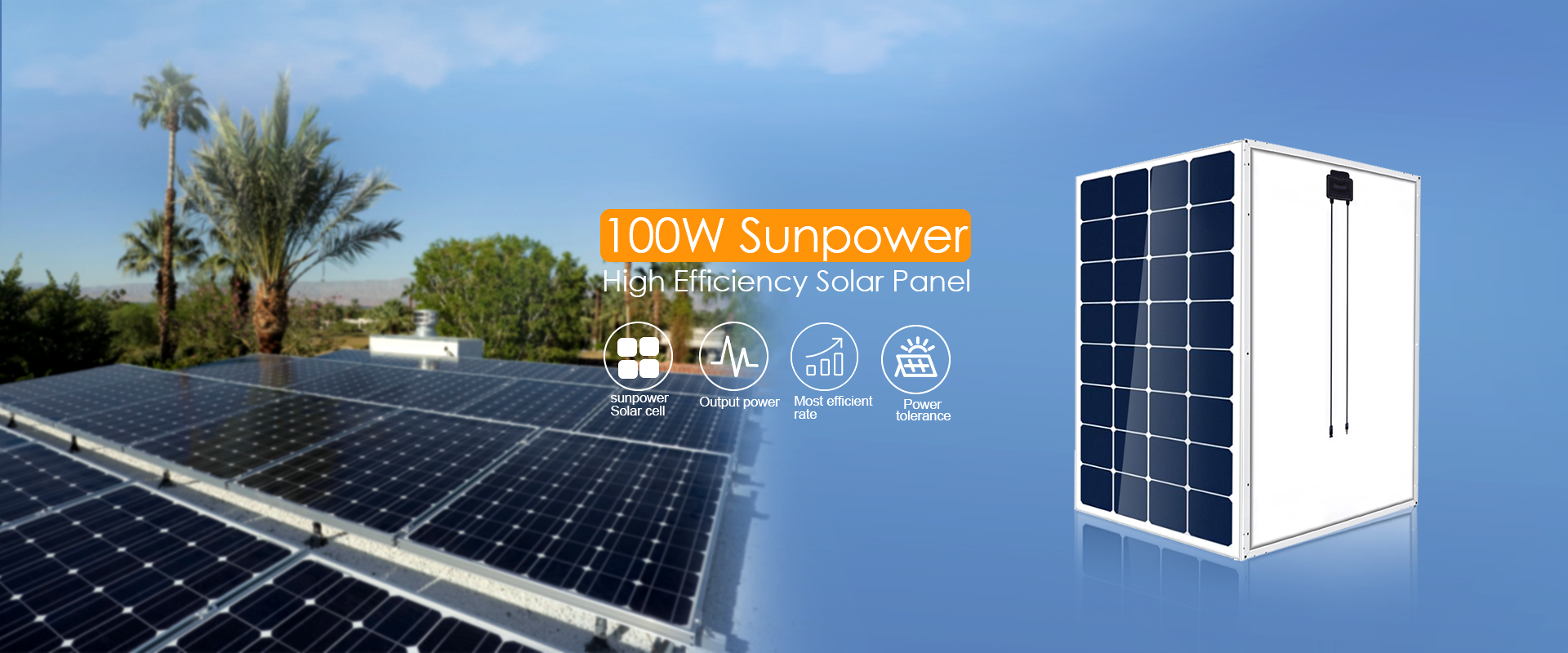 ExpertPower Panel solar flexible de 100 W | Módulo de alta eficiencia con  células solares monocristalinas Maxeon para aplicaciones de carga de RV